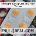 Kamagra 100Mg Oral Jelly How To Use 24